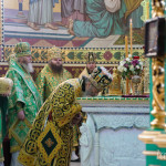 IMG_20250910_130818_478