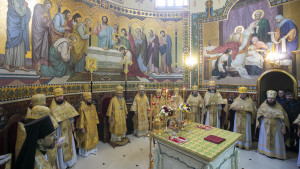 2025_10_12 (19 из 26)