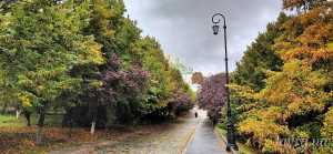 IMG_20251006_105116_749