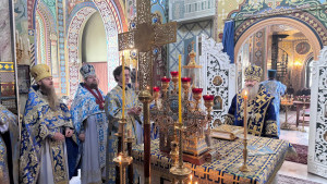 IMG_20251014_151751_025 (1)