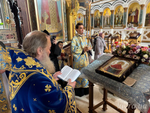 IMG_20251015_081425_152