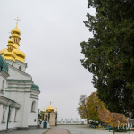 IMG_20251024_170732_102