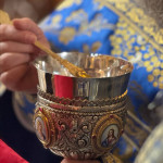 photo_33_2025-10-15_10-21-38