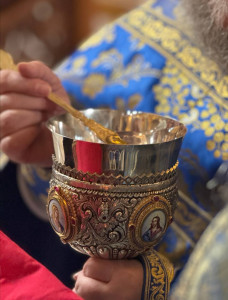 photo_33_2025-10-15_10-21-38