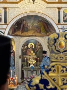 photo_9_2025-10-15_10-21-38