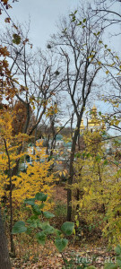 IMG_20251103_185542_918