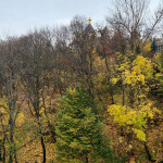 IMG_20251103_185601_581