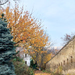 IMG_20251103_185628_412