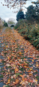 IMG_20251103_185634_100