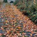 IMG_20251103_185634_100