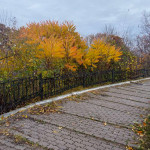 IMG_20251103_185640_903