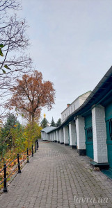 IMG_20251103_185648_252