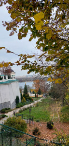 IMG_20251103_185651_456