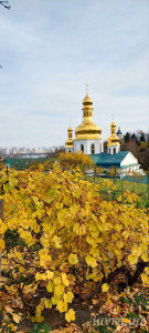 IMG_20251103_185713_847