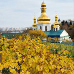 IMG_20251103_185713_847