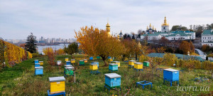 IMG_20251103_185716_895