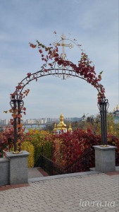 IMG_20251103_185722_823