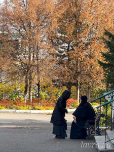 IMG_20251103_185829_768