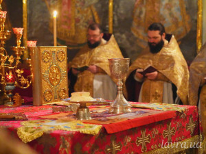 IMG_20251109_122443_851