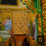 IMG_20251115_215506_676