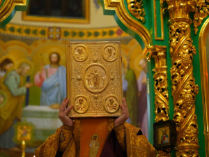 IMG_20251115_215506_676