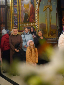 IMG_20251115_215525_573