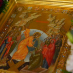 IMG_20251115_215543_782