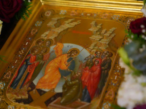 IMG_20251115_215543_782