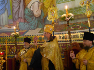 IMG_20251115_215549_456