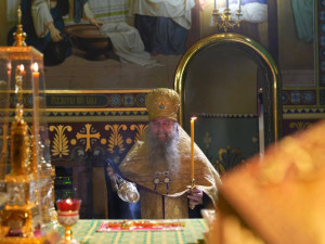 IMG_20251116_063116_044