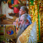 IMG_20251116_114159_749