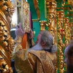 IMG_20251116_114229_922