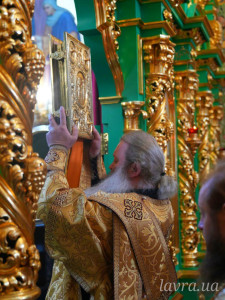 IMG_20251116_114229_922