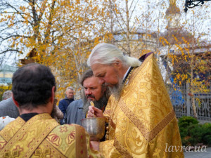 IMG_20251116_114315_584