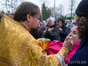 IMG_20251116_114318_250