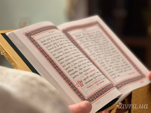 IMG_20251120_173544_946