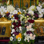 photo_13_2025-11-09_11-47-57