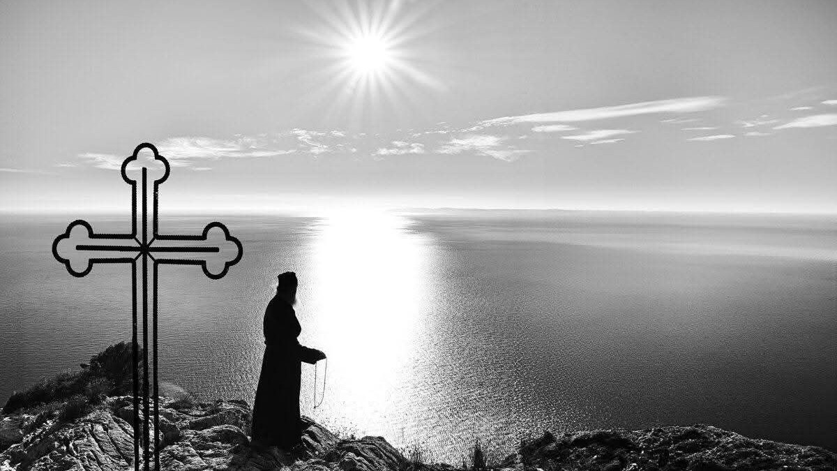 photo_2025-11-19_12-24-54