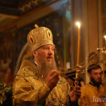 photo_4_2025-11-09_11-47-57