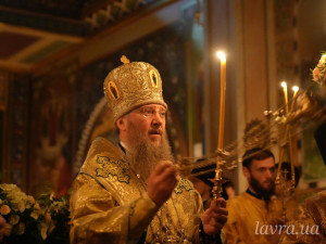 photo_4_2025-11-09_11-47-57