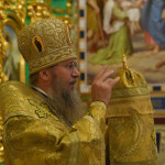 photo_5_2025-11-09_11-47-57