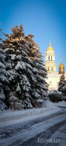 IMG_20260112_163121_765