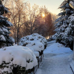 IMG_20260112_163133_125