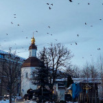 IMG_20260112_163218_683