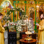 IMG_20260113_213718_545