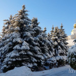 IMG_20260119_095425_889