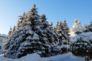 IMG_20260119_095425_889