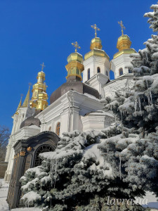 IMG_20260124_081943_082