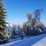 IMG_20260124_082035_530