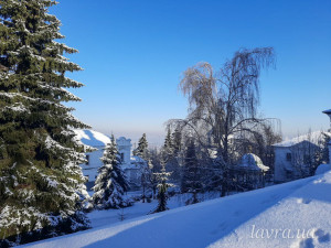 IMG_20260124_082035_530